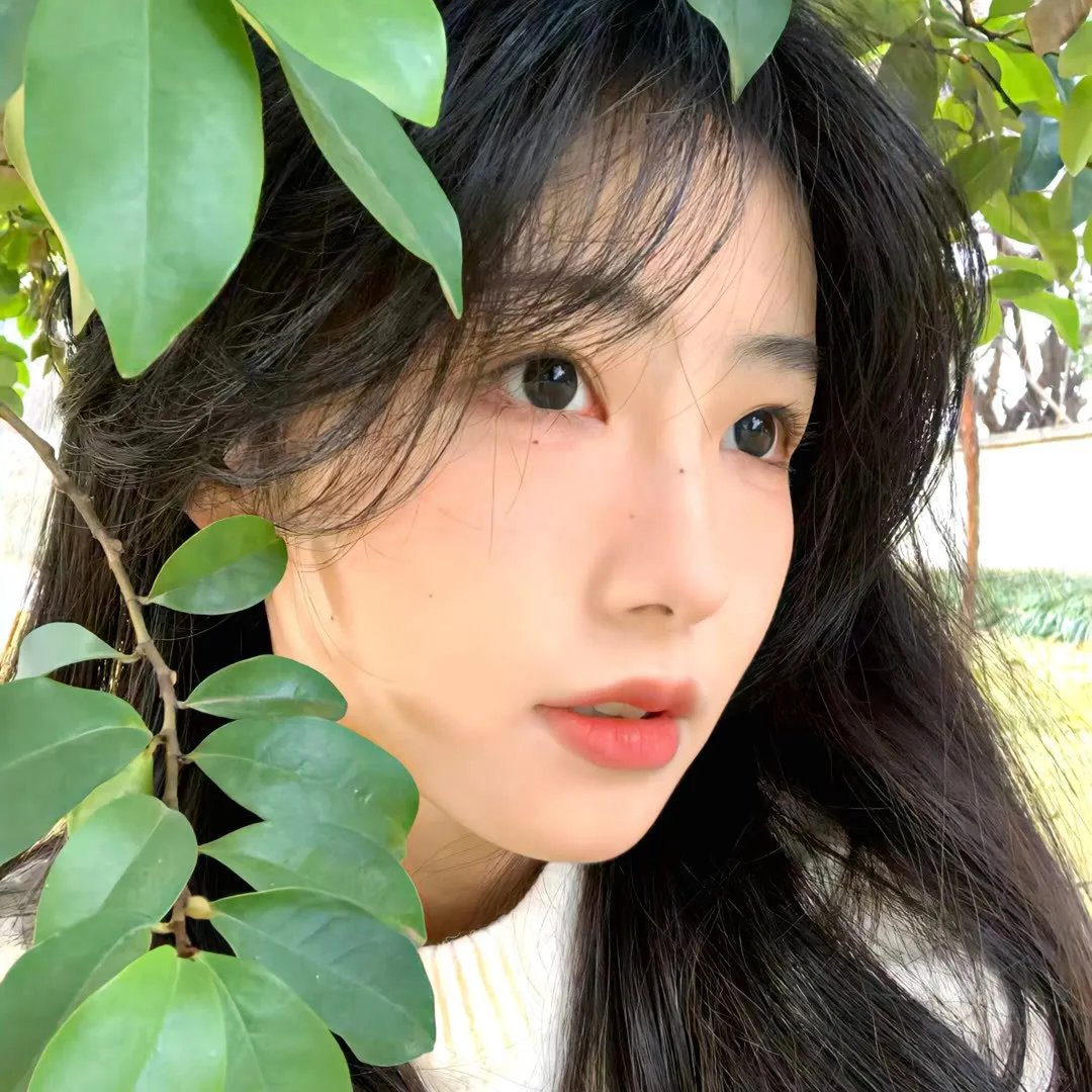美国忍者